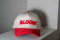 Bloom